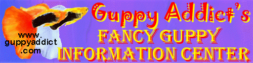Click here to visit The Fancy Guppy Information Center.