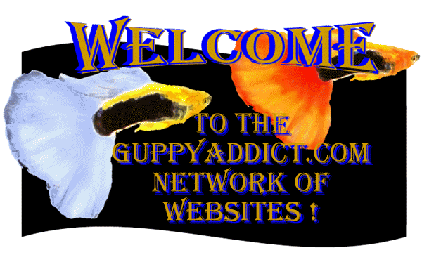 Guppy Addict Welcome Banner
